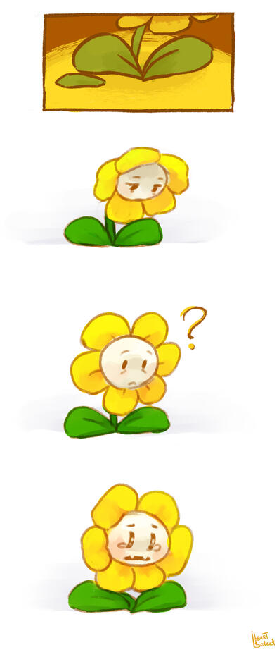 Page 3 Page 3